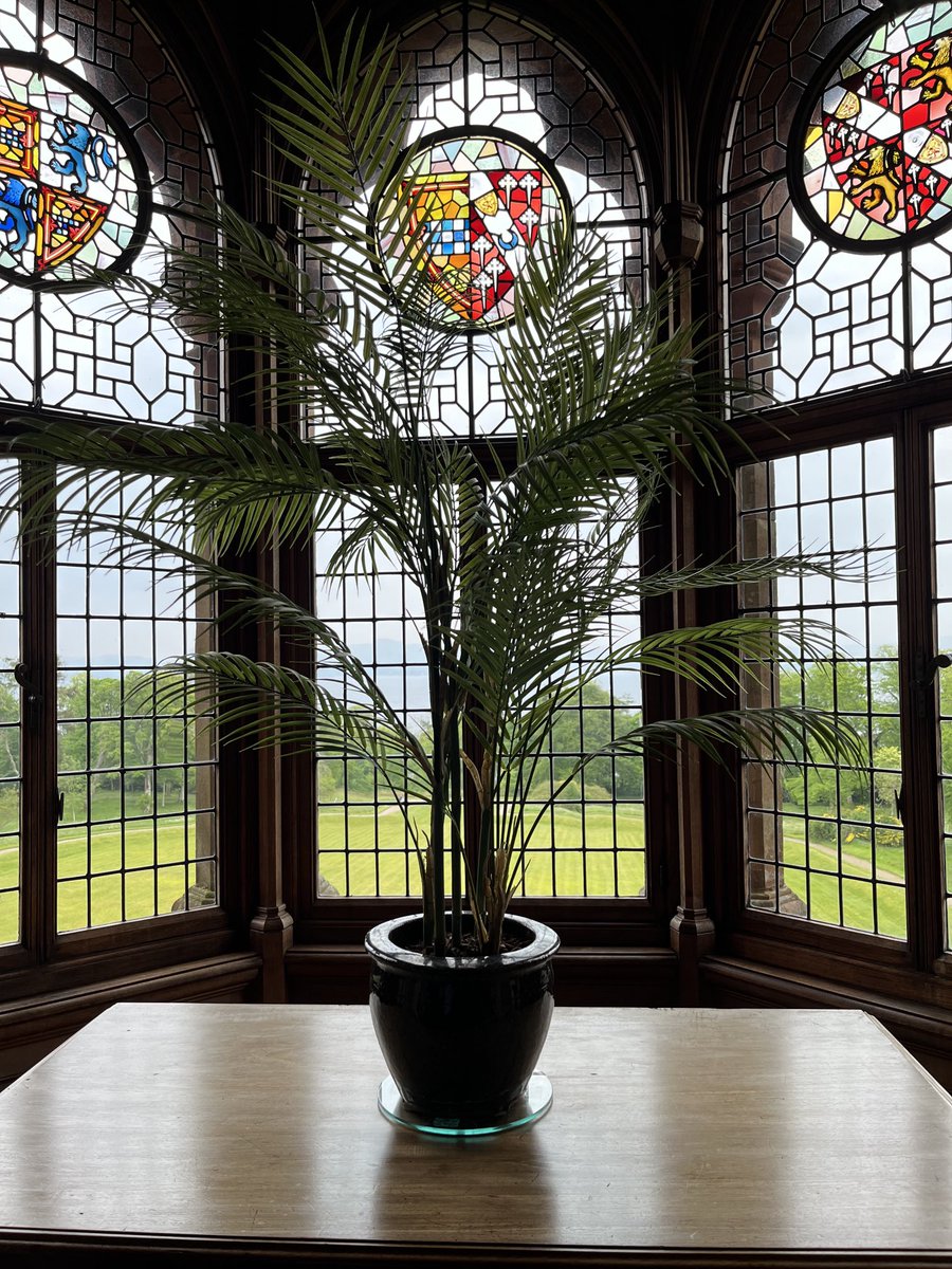 Just one of the lovely #windowsonWednesday from Mount Stuart #Bute