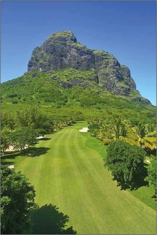 50 shades of green in Mauritius 
#wednesdayvibes