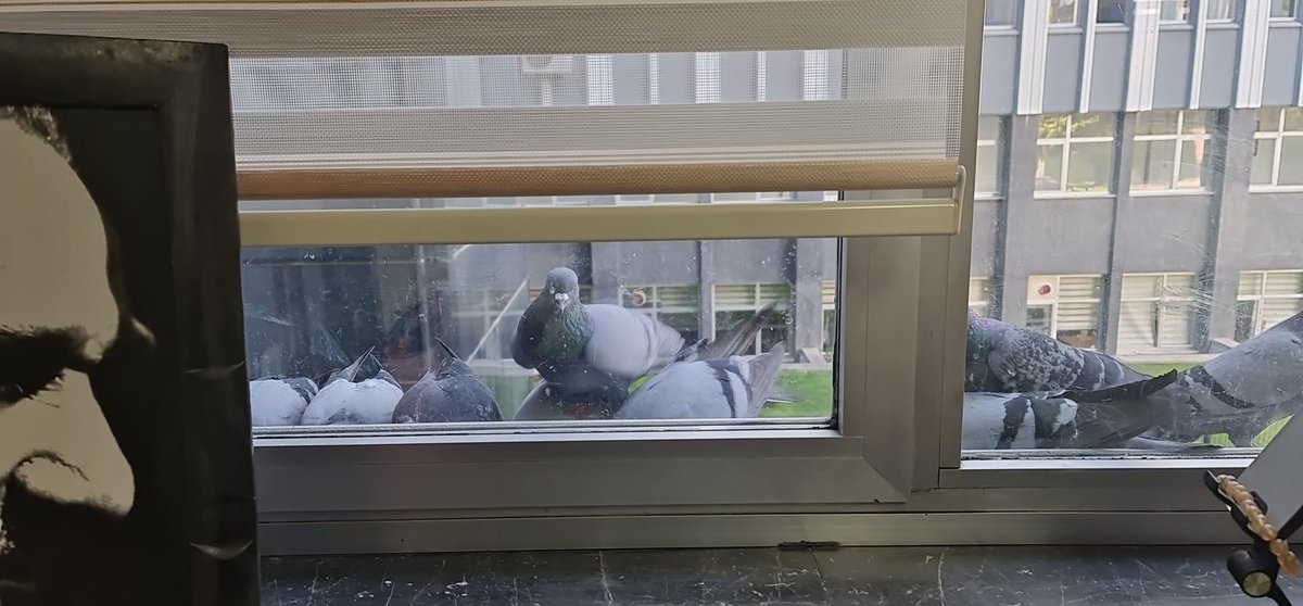 8 yaşındaydı kızım, kapının önünde servis beklerken geri geri manevra yapan bir aracın altında kaldığında. Allah’ın hikmeti o yıl tabur komutanı olmuştu babası, ilk defa bizimleydi. Olayı gören kıymetli bir büyüğümüz, hemen eşime haber vermişti. Malum canilerin, birlikten ayırıp