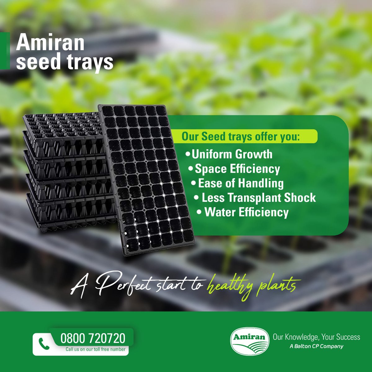 It's the planting season ,taking care of your nursery is crucial for healthy plants, and using seed trays is a key step in the process! For more information on trays for healthy seedlings, call 0800720720. #OurKnowledgeYourSuccess #amiran #farming