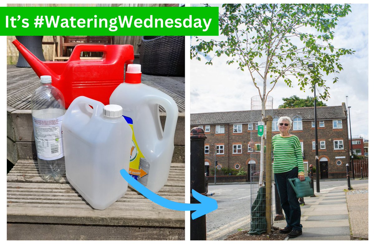 It's #WateringWednesday - Time to get out & help water all those NEW street trees 🚿🚿🌳🌳

NEW trees love a drink. They'll pay you back in years to come.

They're not overly fussy either,  bath or washing-up water is totally fine. Rainwater is a fave😎

More info in thread👇