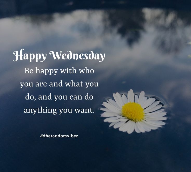 #Wednesday #happywednesday #MsingiPACK