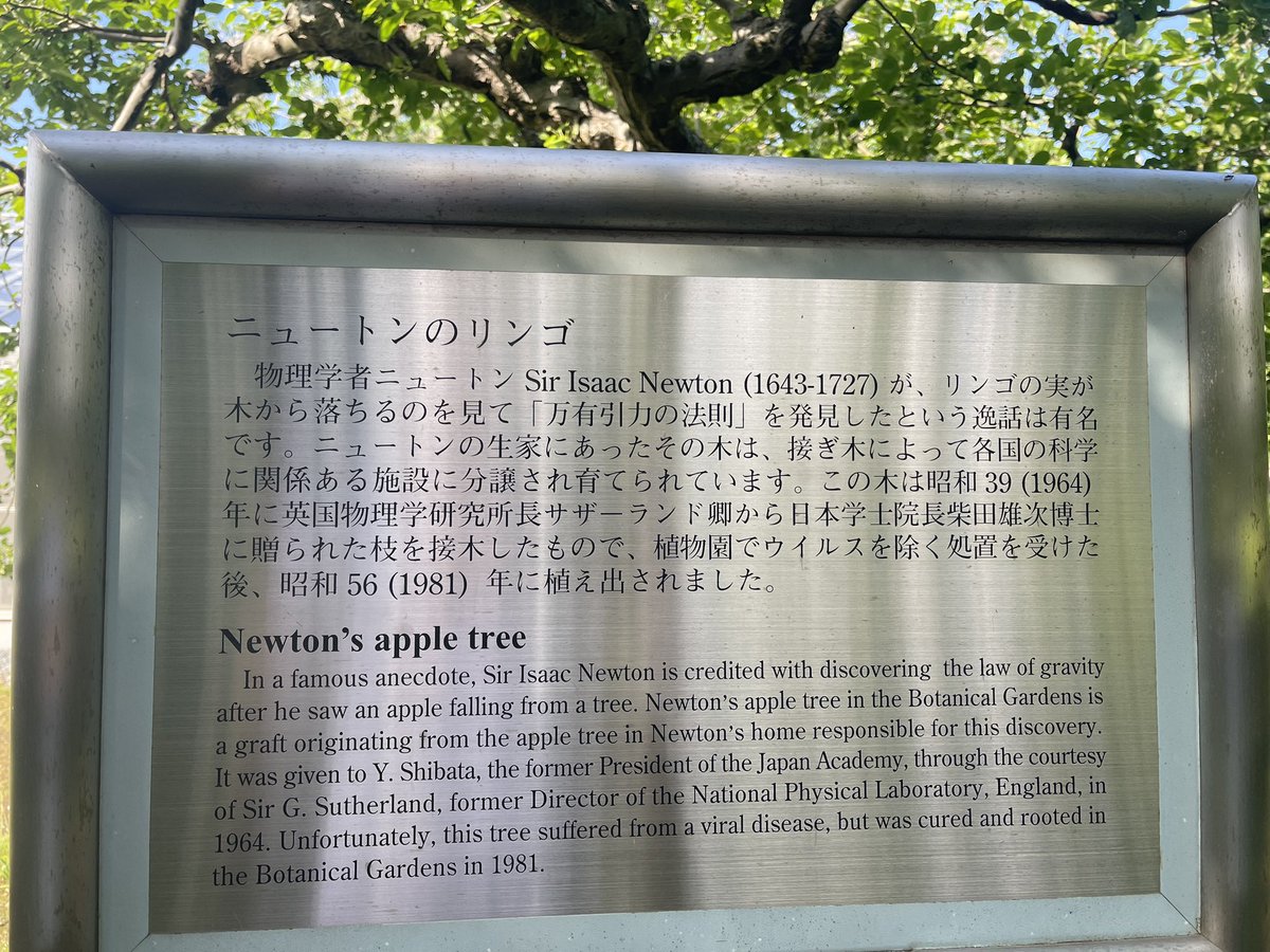 MinusWells's tweet image. Touching grass is overrated
Today, I am touching Isaac Newton’s apple tree 🍏