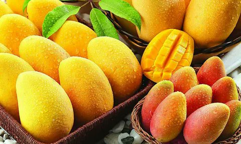 #Processed #Mango #Products! From mouth-watering jams to refreshing mango juices, explore the endless possibilities of this tropical delight.

tinyurl.com/2s3dwx8z

 #MangoMania #TropicalTreats #ProcessedMango #DeliciousFlavors #HealthyLiving