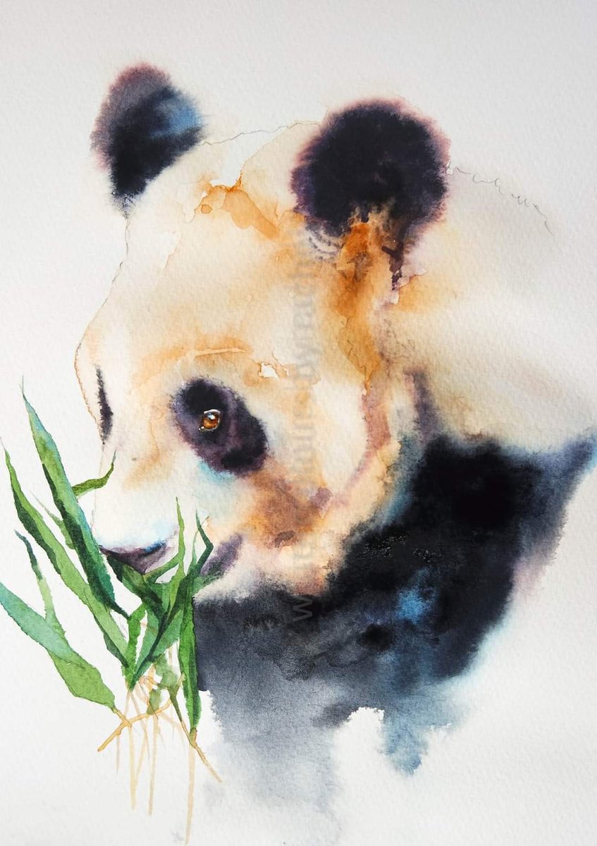 'Your Real Strength Comes From Being The Best 'You' You Can Be.'

Po, 'Kung Fu Panda 3' (2016)

Happy Wednesday x

#watercolour #animalportrait #panda #watercolourpainting #bamboo #wildlife #endangered #fur #Panda🐼 #wildlifeartist #inspiration #wildlifeart #painting #art #paint