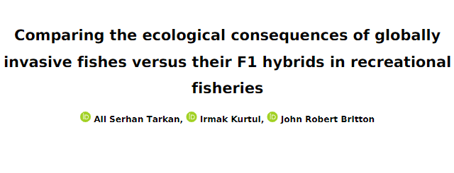 Hybrid fish from #invasivespecies like carp and goldfish do not outperform their parent species in ecological impact, suggesting focus should remain on managing original invasive populations. 🔗 doi.org/10.3897/arphap… #ecology #fisheries @SerhanTarkan