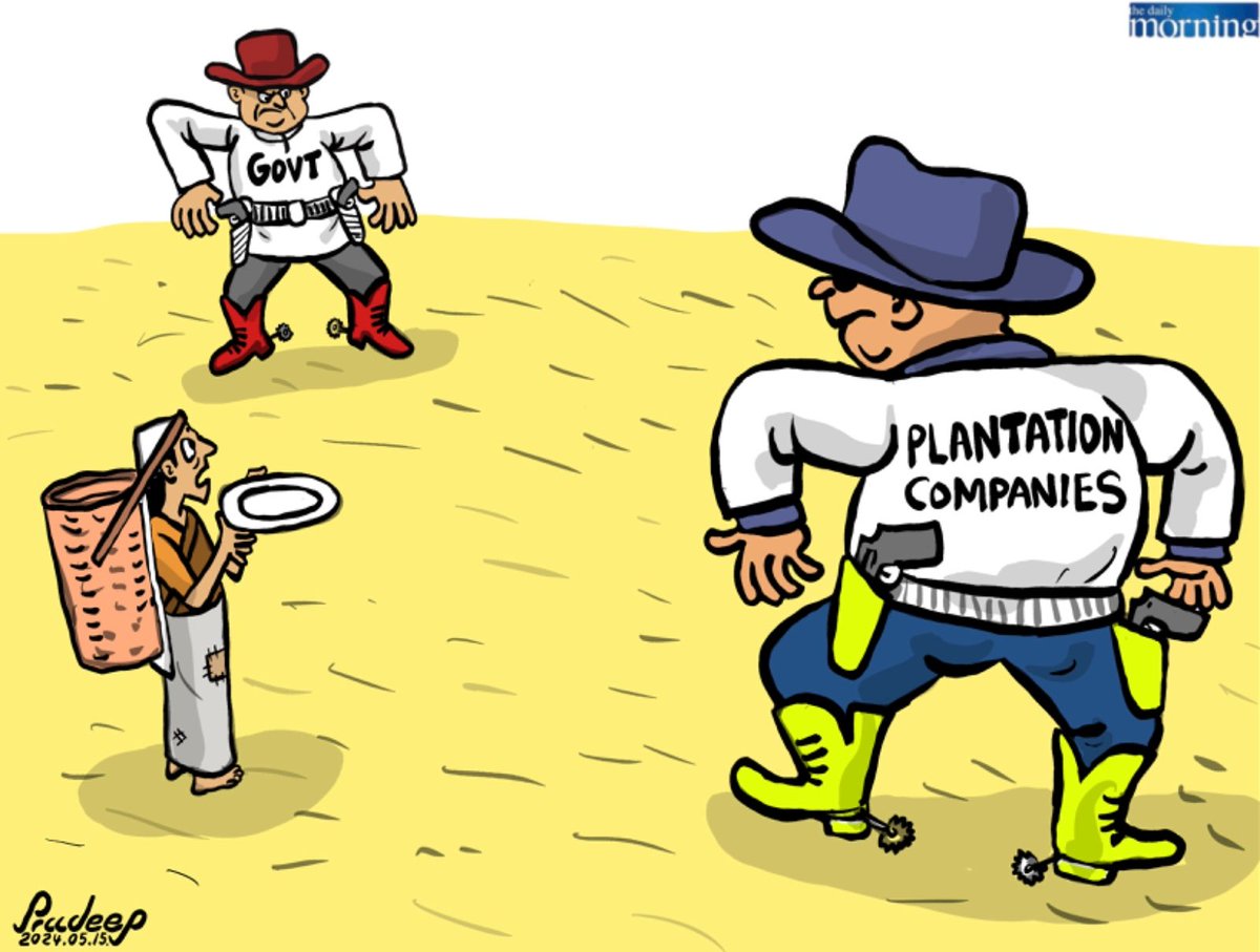 Plantation workers #salary #cartoon #srilanka