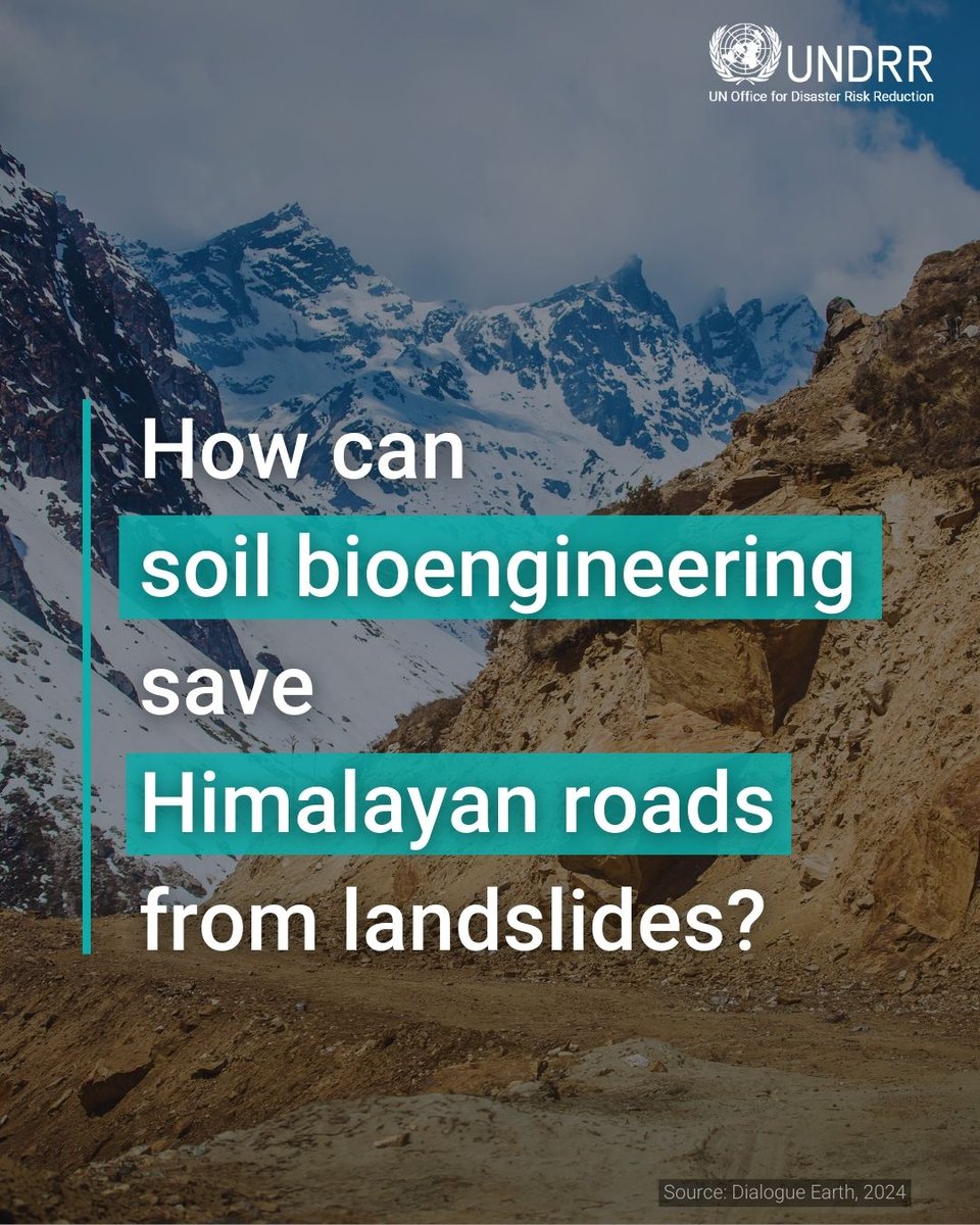 Engineers in India's Himachal Pradesh are protecting mountain roads from floods and landslides by including plants as a vital structural component of transport infrastructure.🛣️ Learn how ➡️ ow.ly/J73U50RFWqy #NatureBasedSolutions