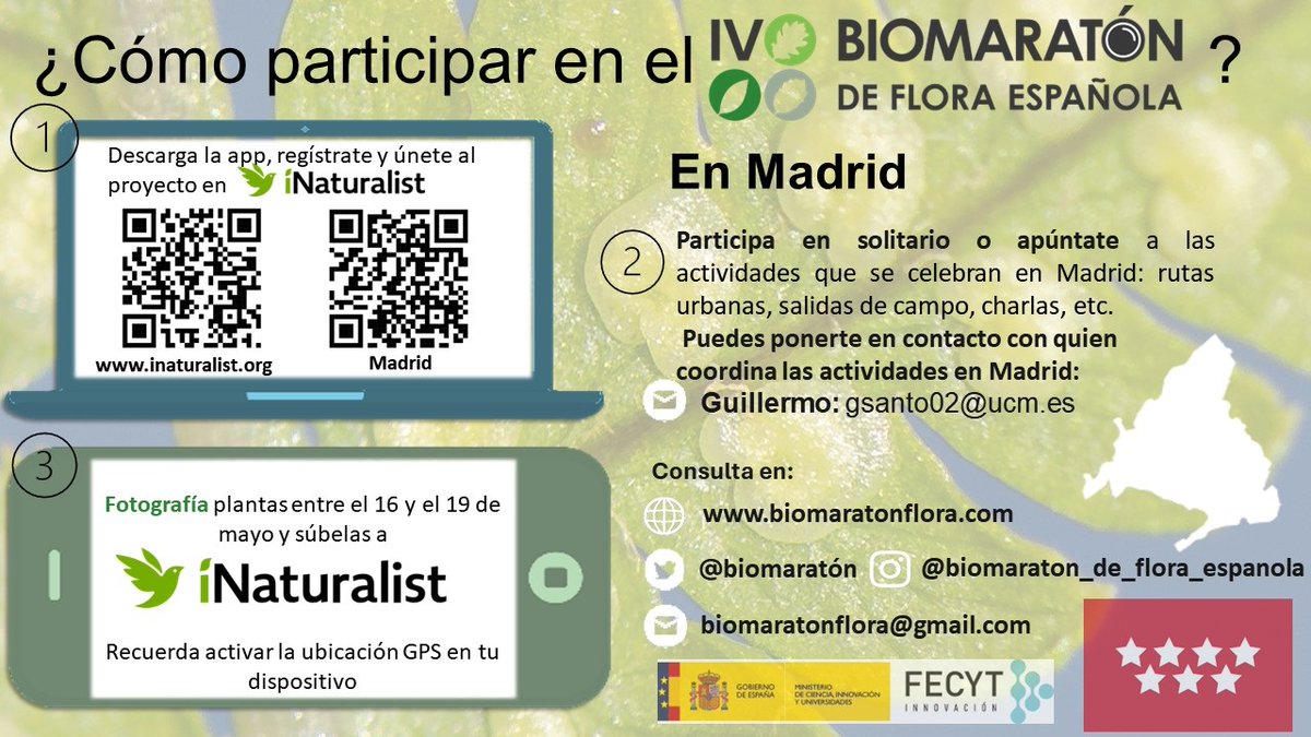Actividades Biomaratón de Flora Española. Del 16 al 19 de mayo. Acompáñanos el día 16 a una salida Botánica que te permitirá descubrir los misterios que esconde la flora de la Ciudad Universitaria y con la que celebraremos el día Internacional de la Fascinación por las plantas.