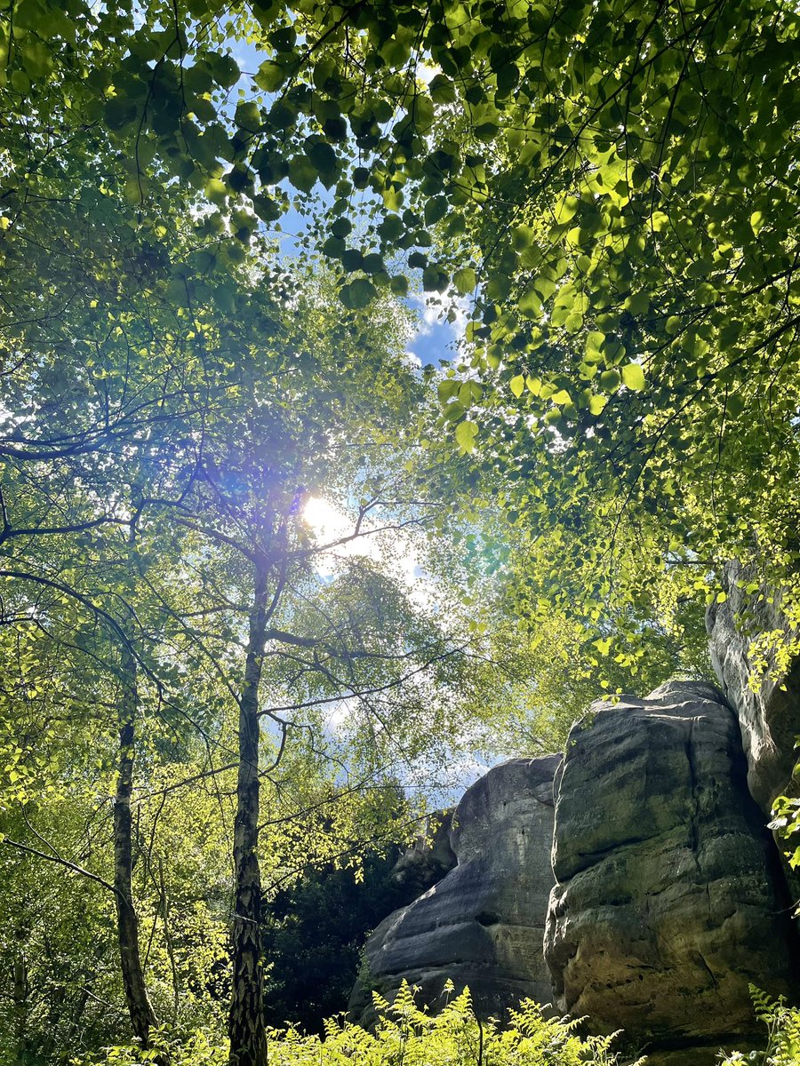 Morning All. Who doesn’t love sunlight dappling through leaves? Off to visit these rocks again today. If anyone has seen my mojo could you redirect it back to me. Thanks in advance. @keeper_of_books