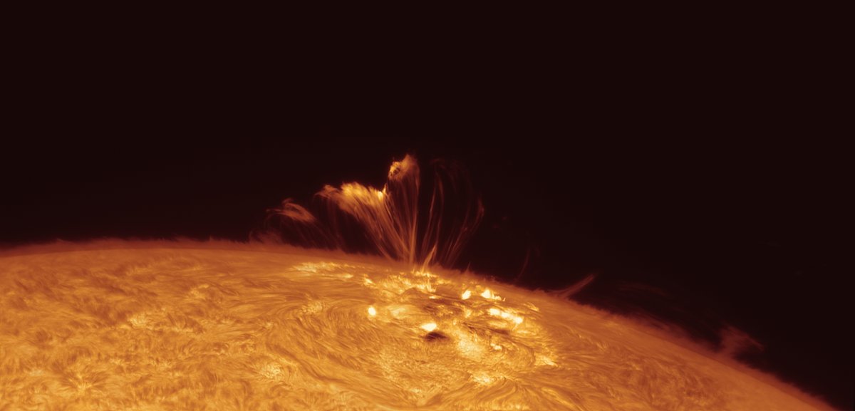 #AR3664 is leaving with fireworks 😎 What a fantastic image of the loop prominences above AR 3664 by our customer M. Weigand (instagram: @marioweigand83). Gear: TEC 160 ED Apochromat + Baader SunDancer II H-alpha Filter ( baader-planetarium.com/sundancer ) #astrophotography #sun