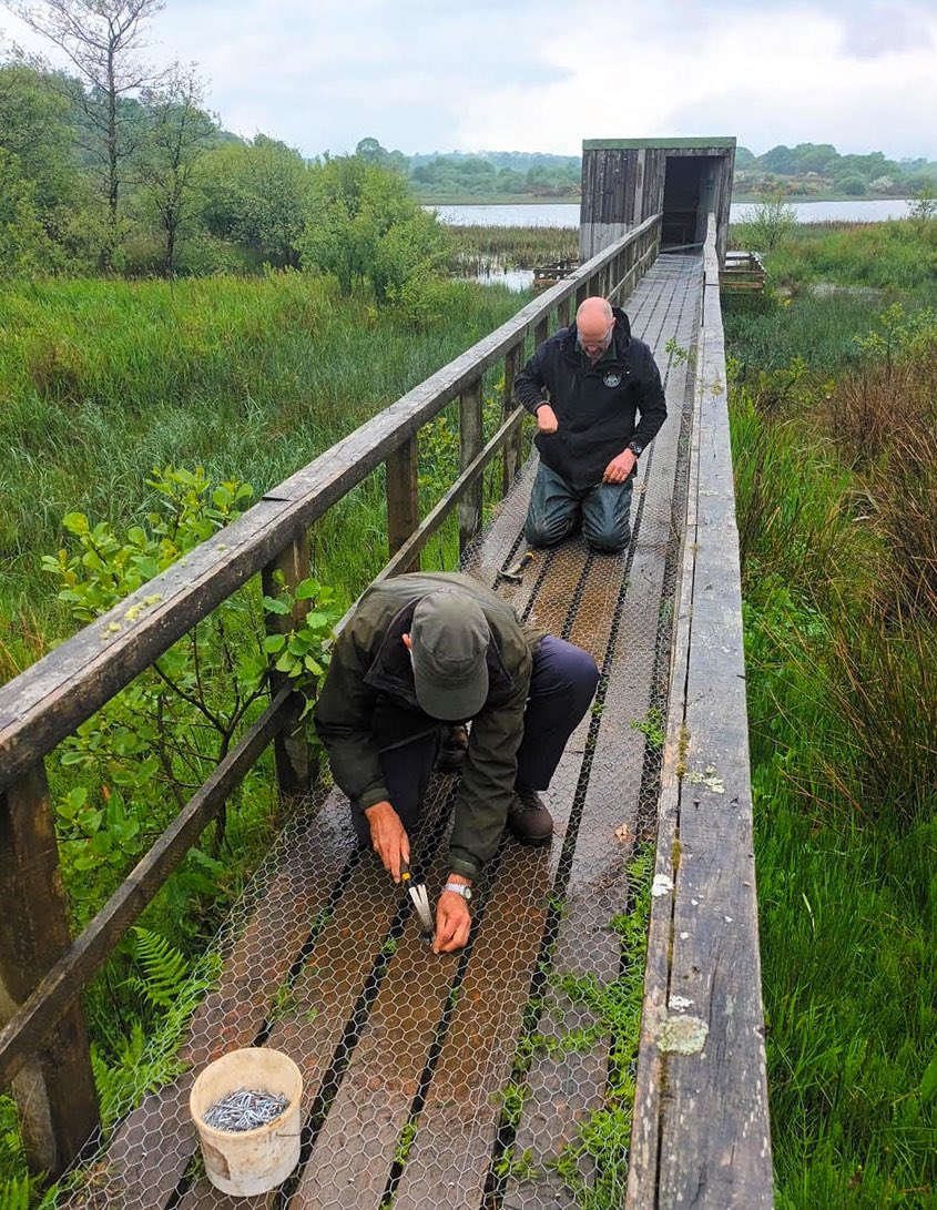New wire mesh on the Loch Fad Bird Hide walkway. It was time to renew the netting on the walkway into the Loch Fad Hide. It’s done well given that it’s often been submerged when the Fad’s water level is high. Many thanks to the Mount Stuart Ranger Service for helping us today.