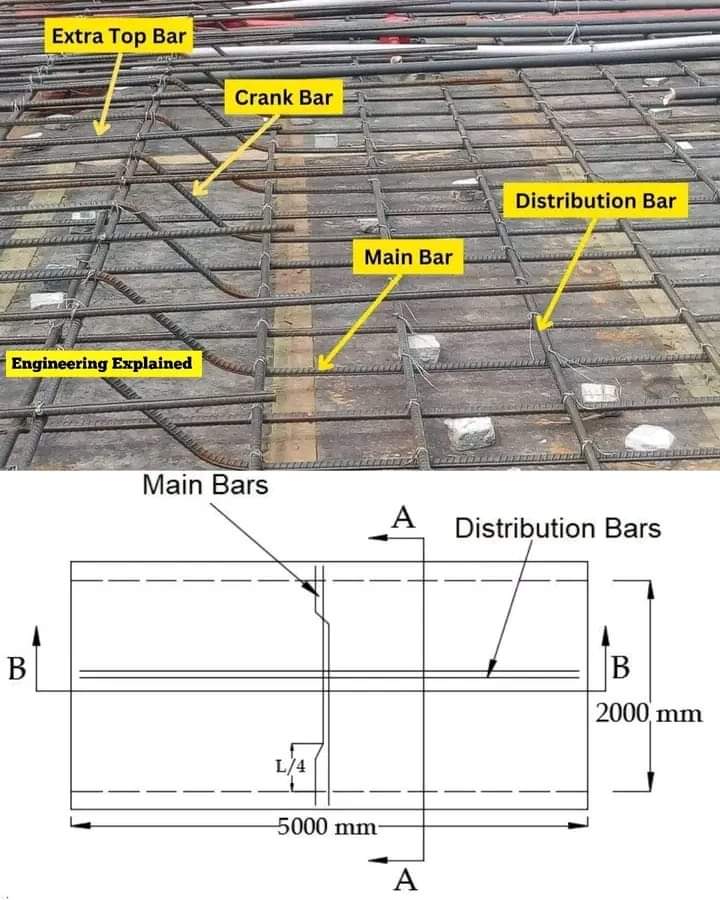 Main and distribution bars