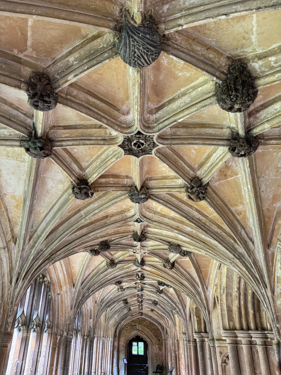 The wonderful vaulted cloisters at Lacock Abbey