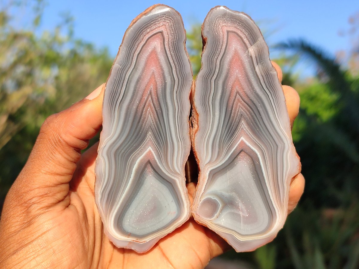 Lovely Red Sashe River Agate Angel Wings from Zimbabwe. Expertly cut & polished as a matching pair. This & more available from Toprocks website 💎🤩💫
#crystals #toprock #agate #crystalwholesale