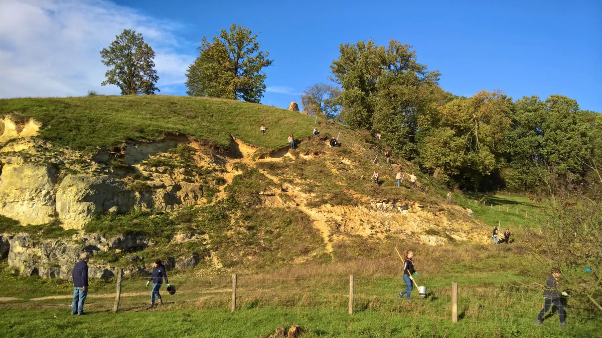 🌳 Win €5.000 euro met ‘Limburg Mooier Groen’. Wil je met een vrijwilligersgroep een dorpsboomgaard of poel aanleggen en heb je ondersteuning nodig bij de realisatie? Steunpunt Landschapsbeheer lanceert vandaag ‘𝗟𝗶𝗺𝗯𝘂𝗿𝗴 𝗠𝗼𝗼𝗶𝗲𝗿 𝗚𝗿𝗼𝗲𝗻’: bit.ly/LimburgerMooie…