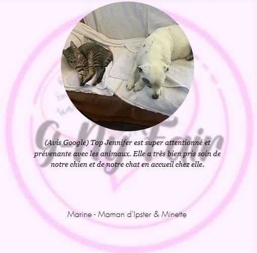 Pension_GnyFair's tweet image. Merci à Marine et sa petite famille, de m&apos;avoir fait confiance 
Une fratrie Chien Chat Ipster &amp;amp; Minette 😁
N&apos;hésitez pas à #réserver à la #Pension, j&apos;accepte toute sorte d&apos;animaux de compagnie
#Slv06 #SaintLaurentduVar #Petsitting #Gardeanimaux #Animals