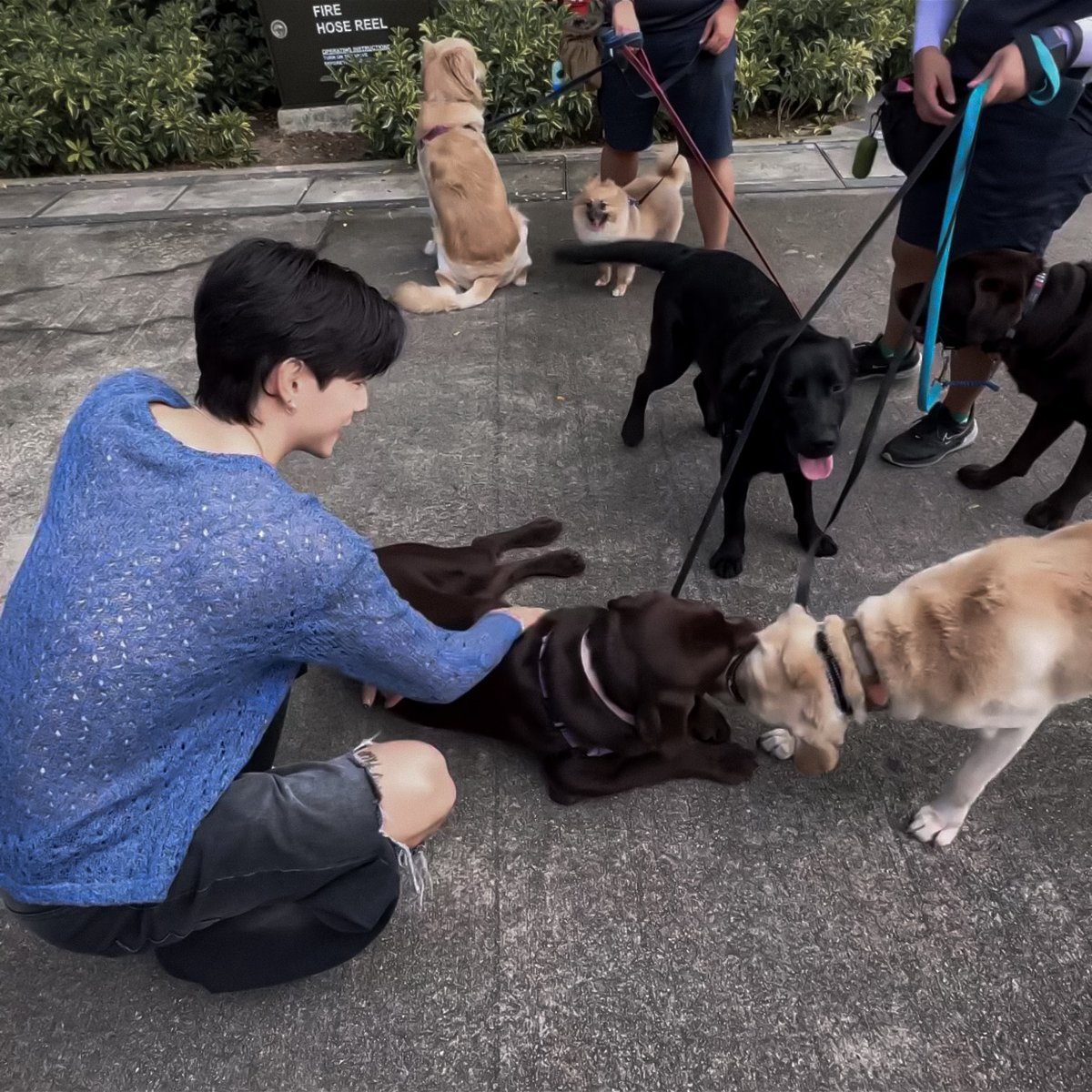 #MarkTuan is a true dog lover 🐶