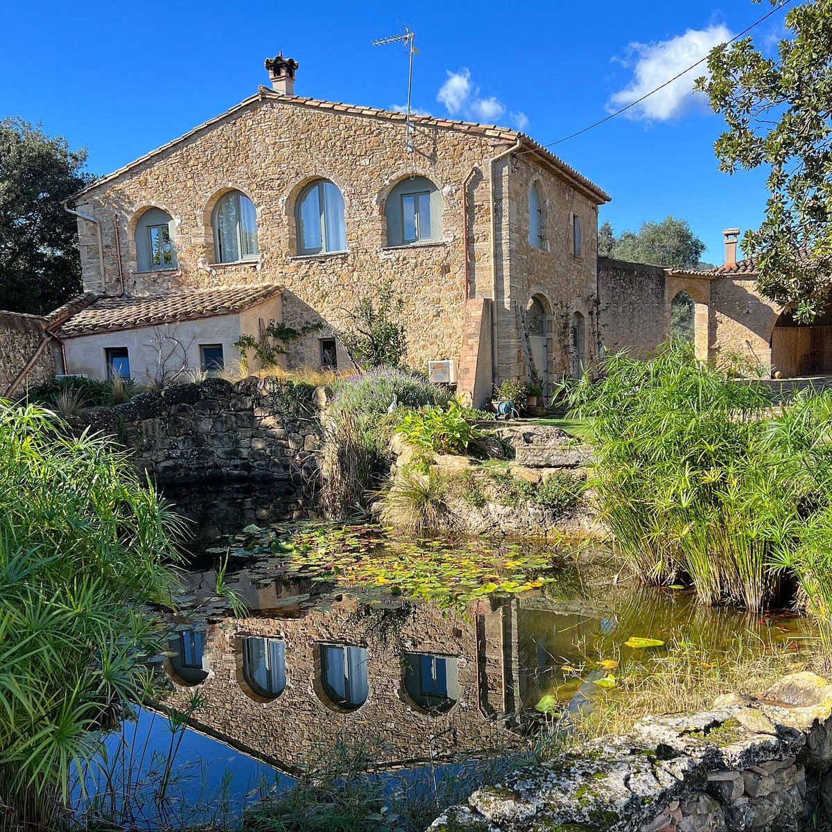 Ashleigh Moolman tweet media