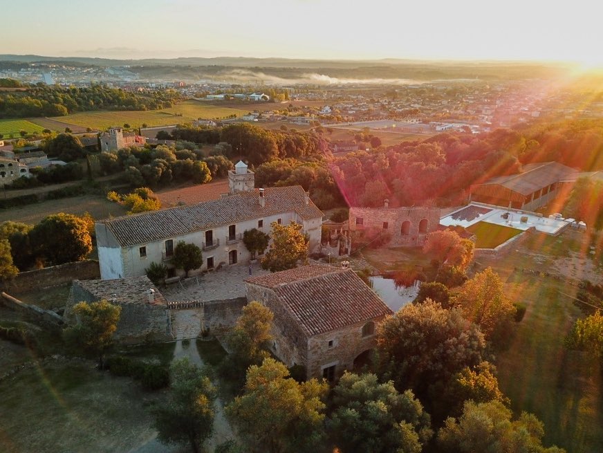 Ashleigh Moolman tweet media