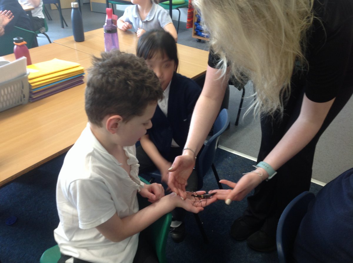 What an amazing experience having Zoolab come in to help us with our learning about tropical rainforest animals in Geography and classification in Science! We are so lucky! #GBS4Geography #GBS4Science