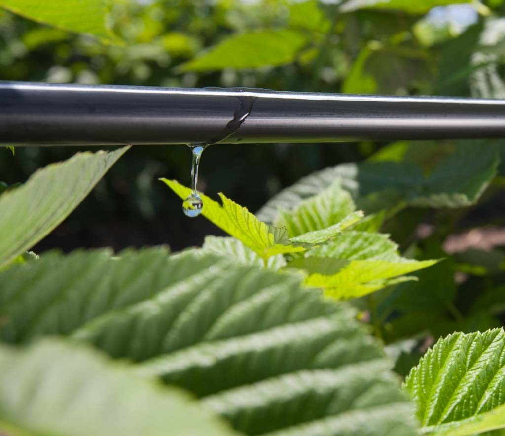 Transform your farm with efficient irrigation solutions from Holland Greentech! Explore innovative techniques and technologies to maximize water use and crop productivity.
#SmartIrrigation #WaterEfficiency #irrigation #water #farmer #farmlife #farming #pressure