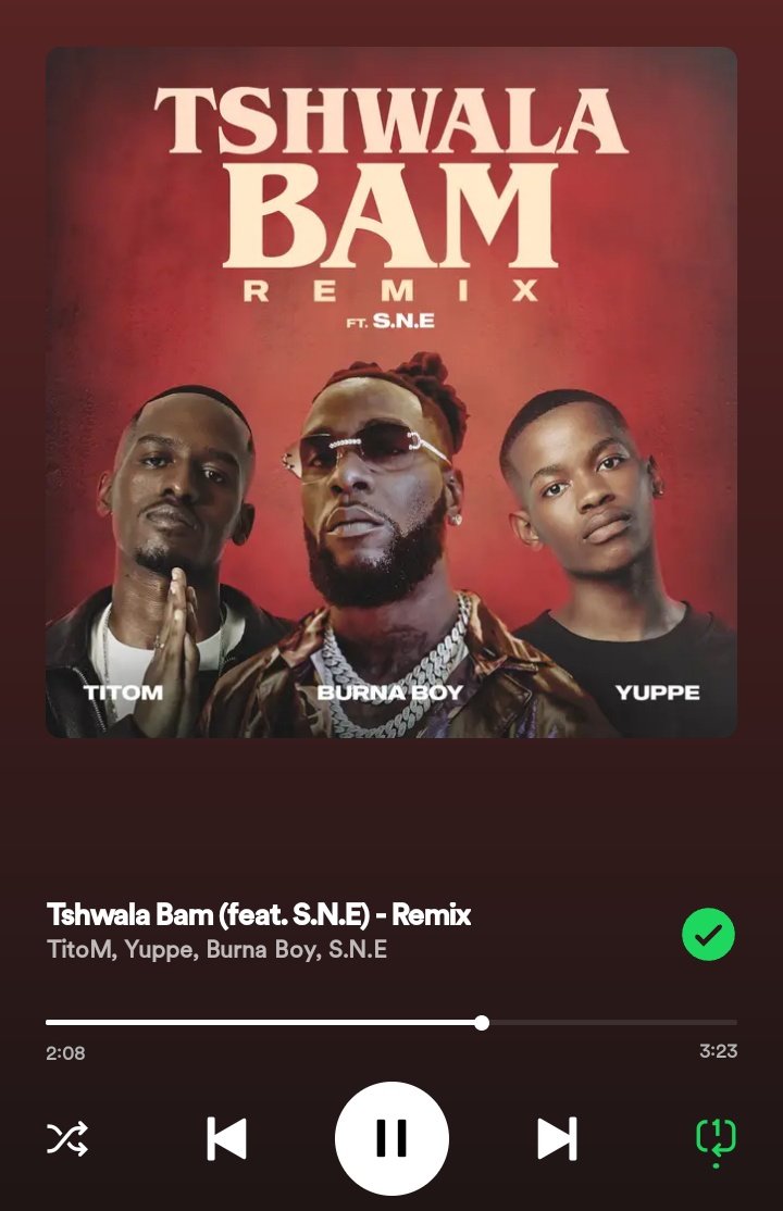 burna's music prowess goes without saying. but for me the best thing he brought into this remix was reducing the song length. the replay value is already obvious. spot on.