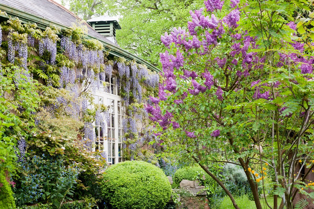 📷️Chauffeur's Flat ©Abigail Rex Enter a 1½ acre tapestry of magical secret gardens with magnificent views. Open Mon 13-Sun 19 May👇️ findagarden.ngs.org.uk/garden/11694/c… #gardenvisit @surreyngs