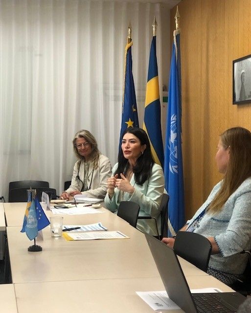 🧵 The SEI-hosted research programme #MistraGeopolitics held a seminar at the @SwedishUN. Ambassador Annika Markovic moderated the discussion focused on #geopolitics of sustainability. Read this thread for insights 👇 cc @SweAmbVienna @MaritzaChanV 1/5