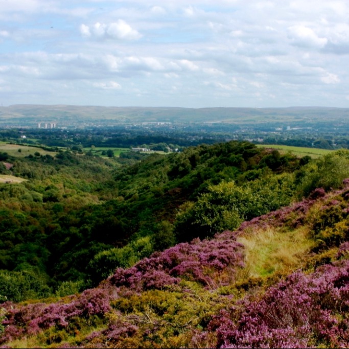 Curious to know more about England’s landscapes? 🏞️ We’ve launched a new website for our National Character Area profiles. From interactive #maps to updated stats, this will help inform decision making about our precious #landscapes across the country. naturalengland.blog.gov.uk/2024/05/14/a-n…