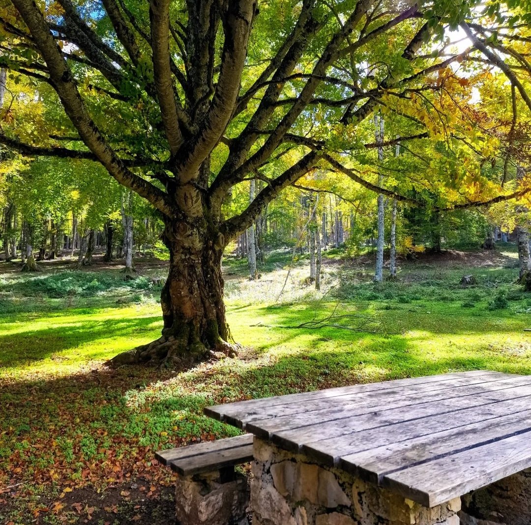 L'Altopiano di Rascino è un suggestivo sistema di quattro pianori nel cuore della Riserva Naturale Regionale Montagne della Duchessa. Il fascino dei suoi paesaggi incontaminati e silenziosi è unico. Per saperne di più parchilazio.it 📷 IG adry983 #VisitLazio