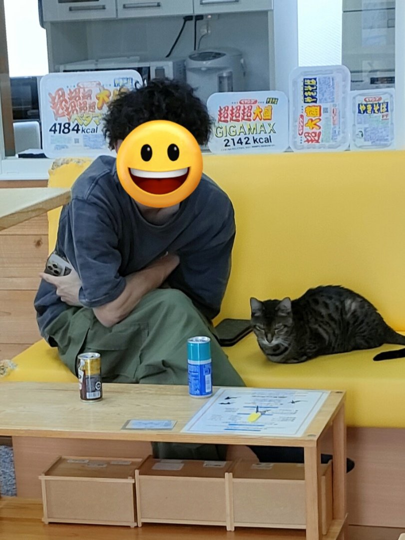 こちらの「お客様」とこちらの「猫」は、今日が誕生日です🍓👍
#新潟　#猫　#猫カフェ
#誕生日