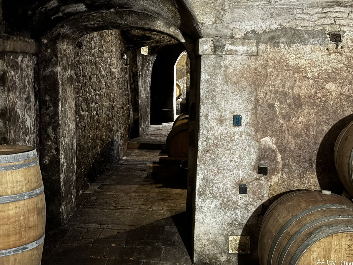 Loved the amazing 14th century cellar and historic Cigliano vineyard in Tuscany. #DrinkLocal #SlowTravel #travel
