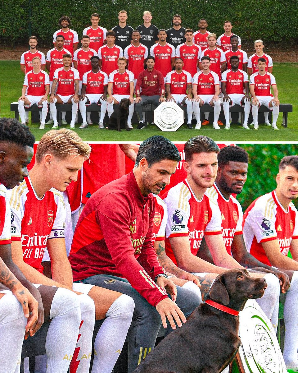 Bottled an 8 point lead.  

Used the next press conference to announce signing a fucking dog.

Named it after the thing they can't do.  

Stuck it in the team photo.  

All their fans lapped it up like the unstable emotional wreckages they are. 

What a fucking mess of a club 💀