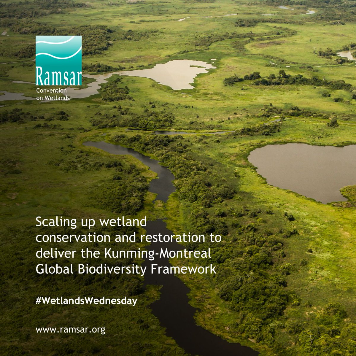 🆕 Report Alert! The Ramsar Technical Report highlights how national actions for wetlands can help us achieve the #BiodiversityPlan. Although making up only around 6% of the Earth’s surface, wetlands support 40% of biodiversity. ➡️ ramsar.org/document/scali… #WetlandsWednesday