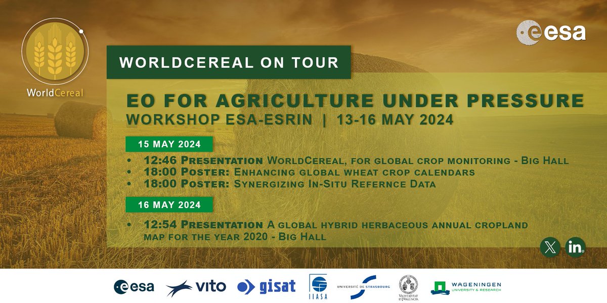 The #WordCereal team is ready for day 3⃣ at the #EO for #Agriculture Under Pressure Workshop @ESA_EO 🌾🛰️🗺️ Join them to learn more: 🔸 Presentation at 12:46 by @K_VanTricht 🔸 2 posters on wheat crop calendars & in-situ data 🔸 Presentation by @IIASAVienna tomorrow at 12:54