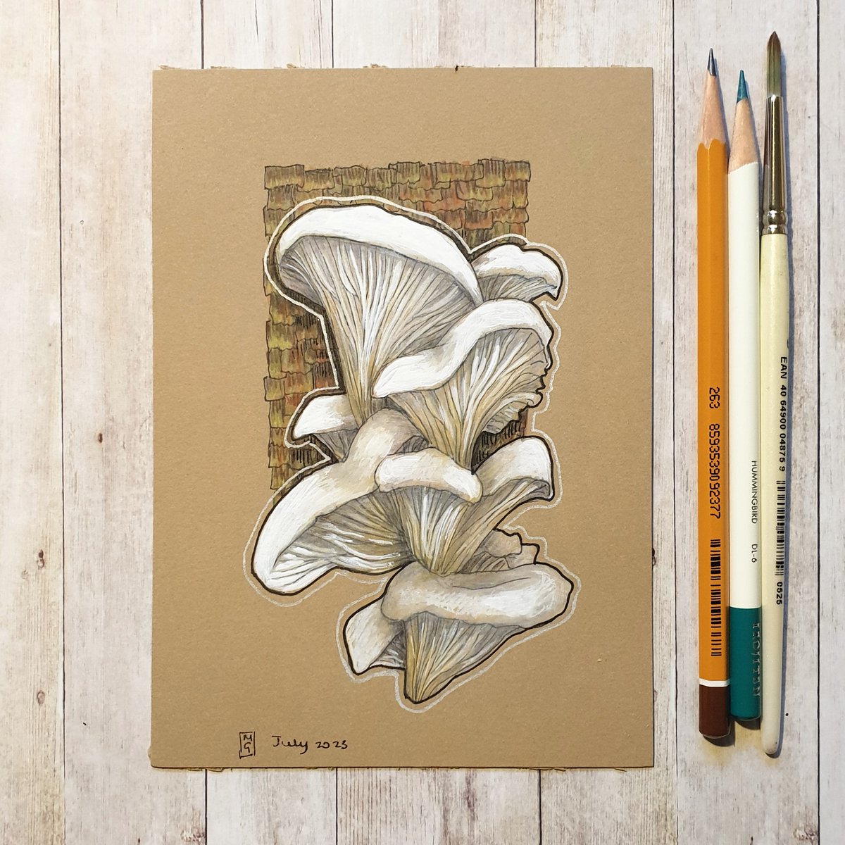 Another piece of art that would enhance your kitchen or dining room décor.  White oyster mushrooms.  This is my original drawing and it is available here...
theweeowlart.etsy.com/listing/169415…
#Mushrooms #MushroomDrawing #Fungi #MushroomArt #OriginalArt #drawing #PenAndInk #ColourPencil