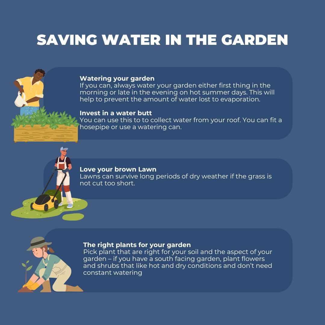 LastMileWater's tweet photo. Today we're looking at ways to save water in your garden!

Find out extra tips here 👇 
https://t.co/S6eMn8MUiT 

#watersavingweek https://t.co/LA12wuGTOY