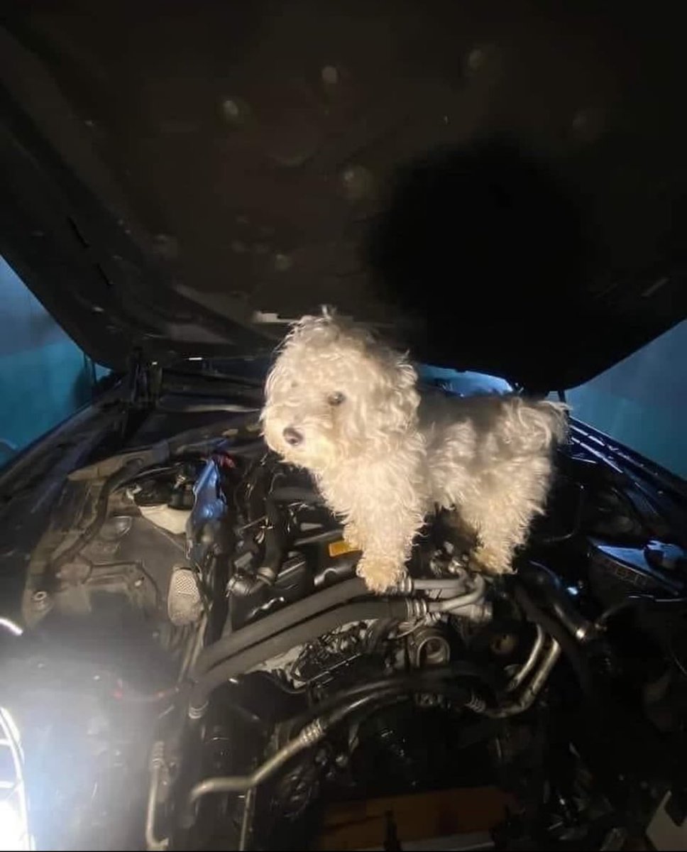 rinnyposting's tweet image. Who the hell do  he think he is