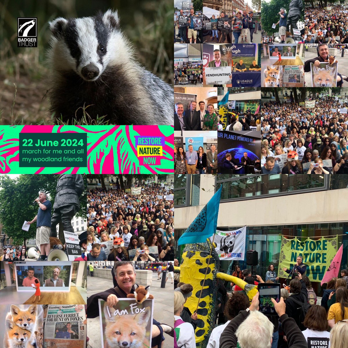 If you care please 🙏 be there join Restore Nature Now march in London on Saturday 22 June @BornFreeFDN @LeagueACS @WCL_News #RestoreNatureNow