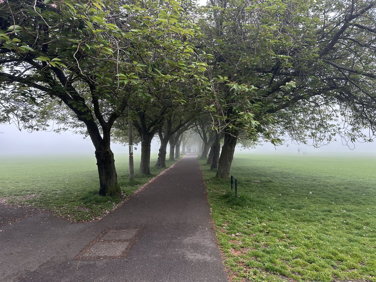 Mist commute #edinburgh #haar