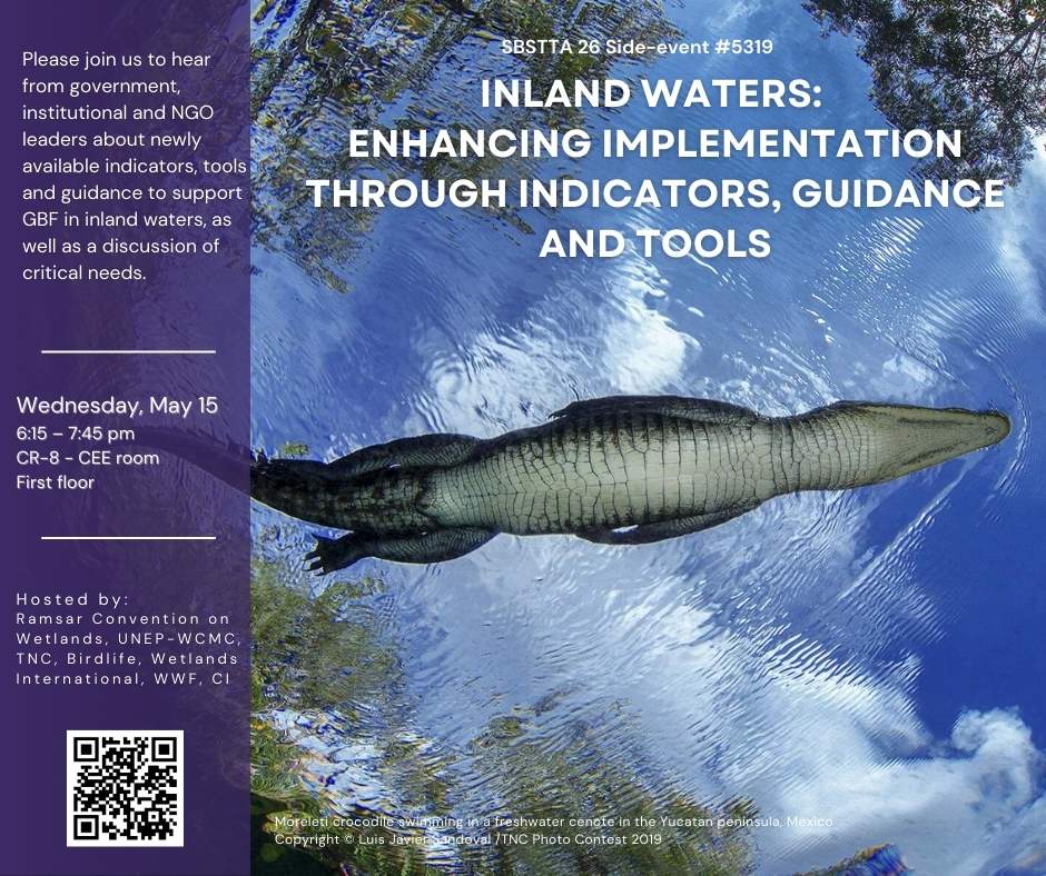 On this #WetlandsWednesday join us at #SBSTTA26 for our side event - Inland Waters: Enhancing implementation through indicators, guidance and tools.

🕕 18:15 - 19:45 EAT 
📍 CR-8 - CEE Room First Floor
🔗 cbd.int/side-events/53…

#WetlandConservation #WetlandsMatter