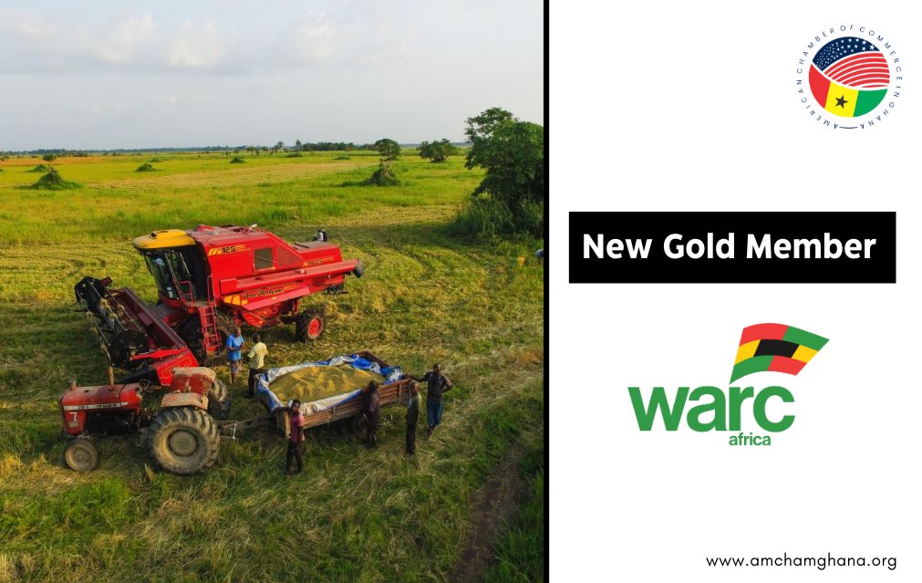 #NewMember The Chamber is delighted to introduce our newest Gold Member, Warc Africa Ghana Limited, an agricultural services and consulting operations giant in Ghana. Warc Ghana Limited is a new #GoldMember of AmCham Ghana. 

Read more: bit.ly/3wLAyYp