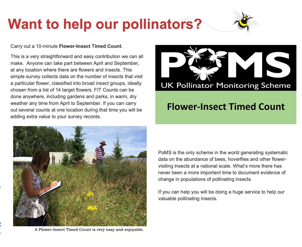 Calling citizen scientists. Now's the time to pop outside to complete a FIT Count. @PoMScheme is the first  in the world to generate systematic data on the abundance of bees, hoverflies and other flower-visiting insects at a national scale. Instructions @ ukpoms.org.uk