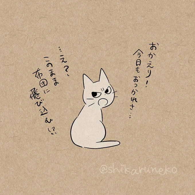 帰ってすぐ布団に飛び込む人と、しかるねこと、あまやかすねこ 