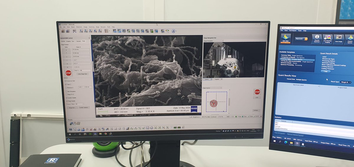 Taramalı Elektron Mikroskopları uygulamalı tanıtım etkinliğimizden kareler.<a href="/zeiss_micro/">ZEISS Microscopy</a> , <a href="/universitemDEU/">Dokuz Eylül Üniversitesi</a>