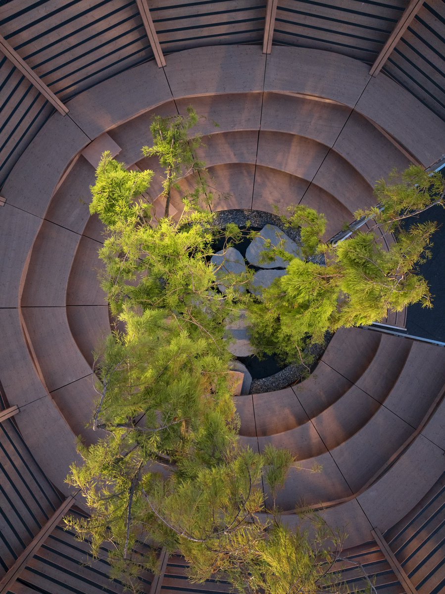 littmann_klaus's tweet photo. #ARENAFORATREE, Venice – an Art Intervention by #KlausLittmann
As if folded out, a narrow staircase offers free access. After that, everything is up to us: Will we enter the tiny arena? If so, alone? With friends? With strangers? https://t.co/uyQtwQ2gYq