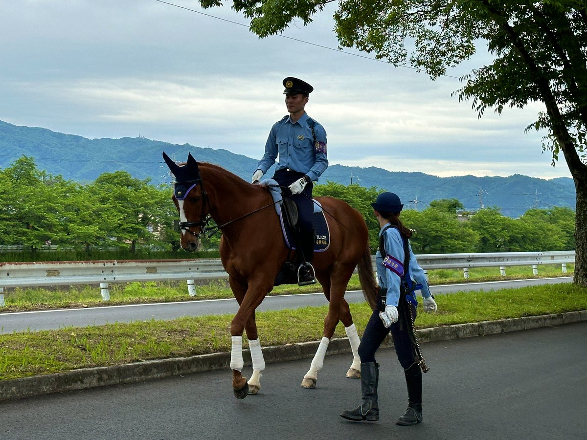 葵祭。上賀茂神社手前の加茂街道。 先頭の平安騎馬隊かっこよかった
