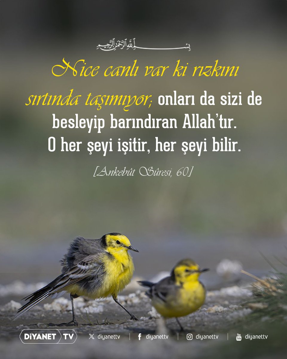 Rahmân ve Rahîm olan Allah´ın adıyla

❝Nice canlı var ki rızkını sırtında taşımıyor; onları da sizi de besleyip barındıran Allah’tır. O her şeyi işitir, her şeyi bilir.❞

[Ankebût Sûresi, 60]