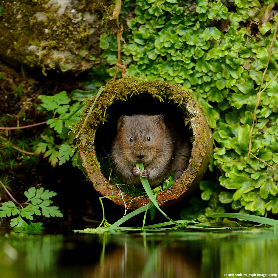 Nature is everyone’s business. 💪

Across the UK, nature is in crisis. But, as an employee, you have the power to help your workplace restore it.

With @Natures_voice & @nationaltrust, we’ve created #NaturesWorkforce, so you can start the conversation. 👉 naturesworkforce.org.uk